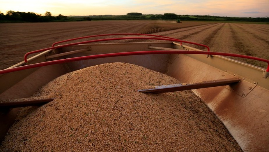 Safra de grãos deve crescer e superar os 310 milhões de toneladas