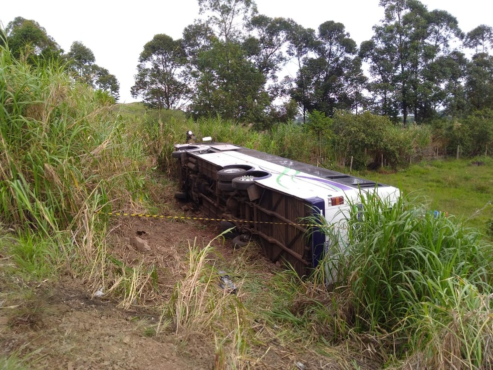 Ônibus saiu da pista e tombou em um campo após motorista ser atingido por tiro na PR-444, entre Arapongas e Mandaguari — Foto: Dionisio Mathias/RPC