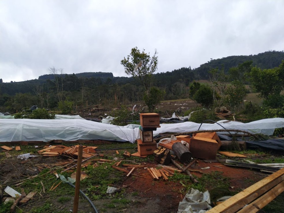 Força do vento causou estragos no município de Irineópolis — Foto: Silas Júnior/NSC TV