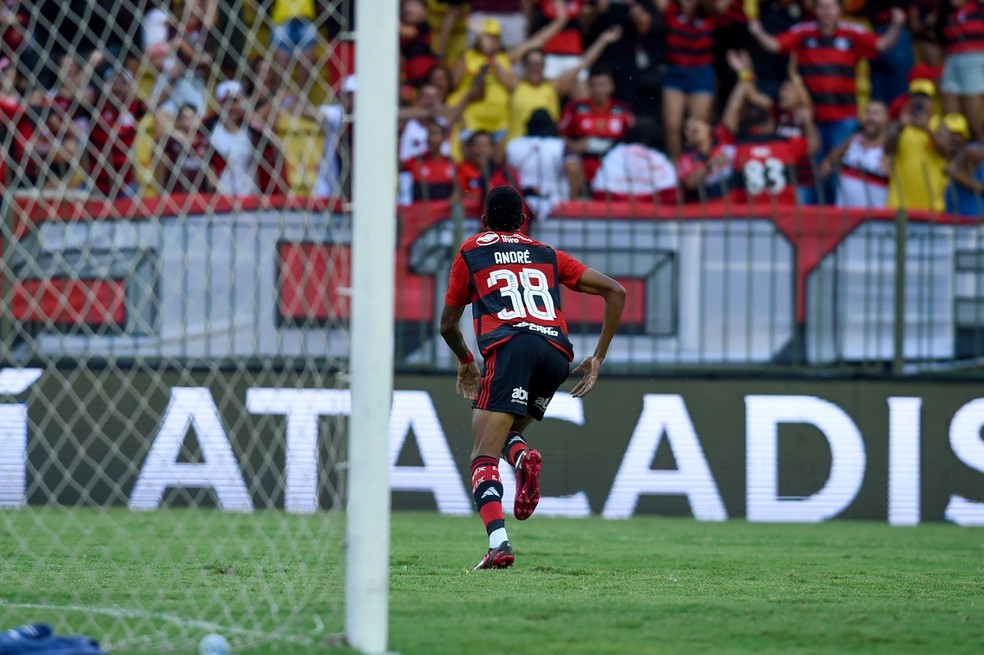 Resende x Flamengo: Andr&eacute; &mdash; Foto: Marcelo Cortes/CRF