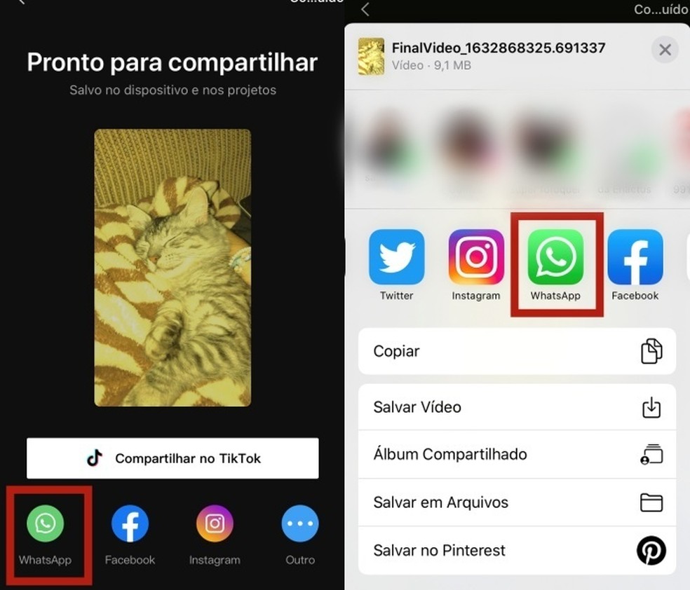Compartilhando um video do CapCut no WhatsApp — Foto: Reprodução/Beatriz Maxima