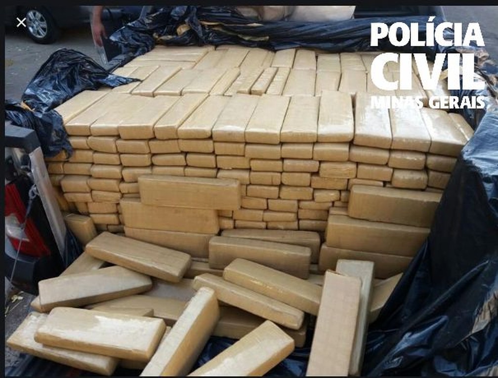 Maconha apreendida em São Paulo — Foto: Polícia Civil/Divulgação