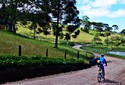 Roteiro de cicloturismo passa por quatro cidades do Norte de Santa Catarina