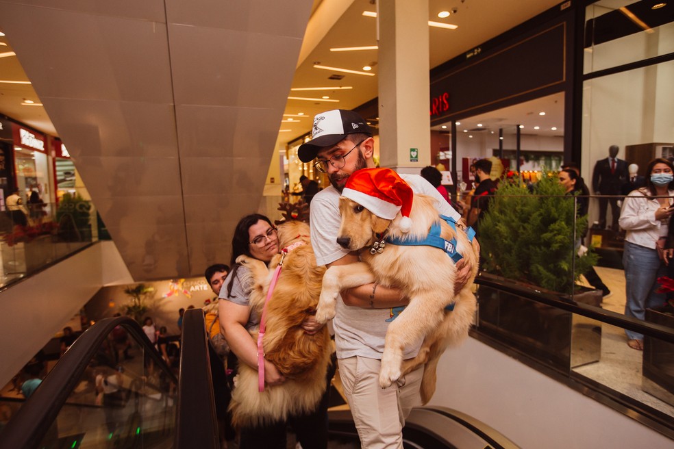 Cachorros com acessórios de Natal são carregados pelos tutores na escada rolante do shopping — Foto: Wey Alves/ Divulgação