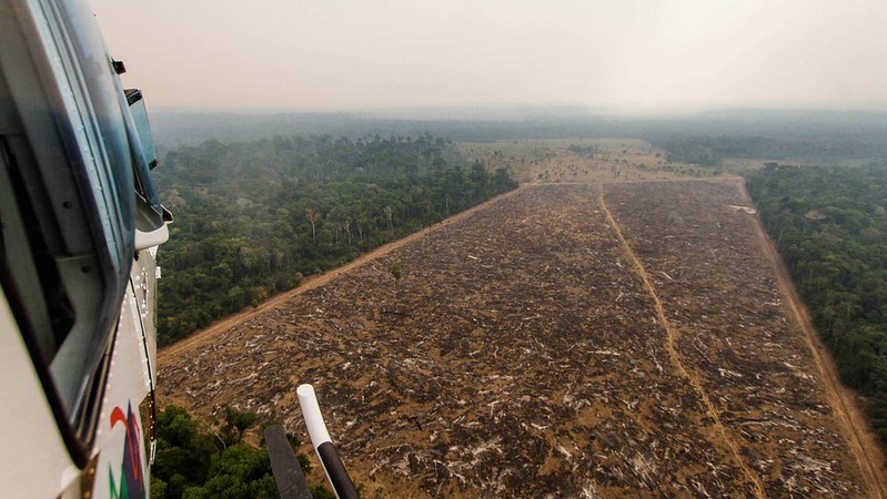 Governo do presidente Jair Bolsonaro respondeu a menos de 3% dos alertas de desmatamento na Amazônia (Foto: Jeso Carneiro/Flickr)