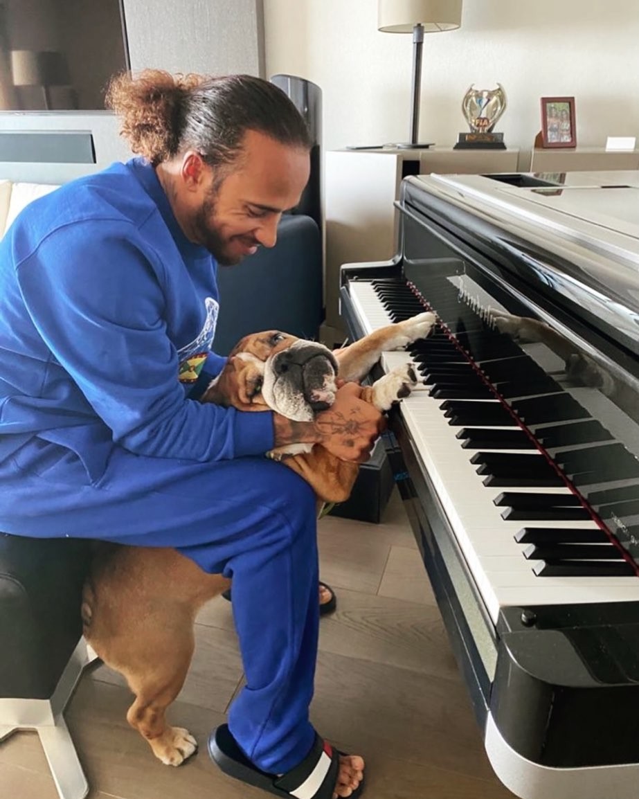 Lewis Hamilton brinca com talento do cachorro e diverte seguidores (Foto: Instagram)
