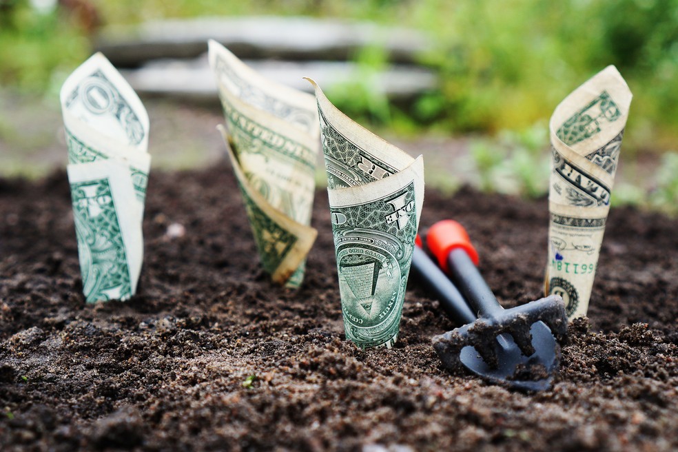 Poupança: o ideal é começar o quanto antes, porque todo investimento se beneficia do fator tempo — Foto: TheDigitalWay para Pixabay 