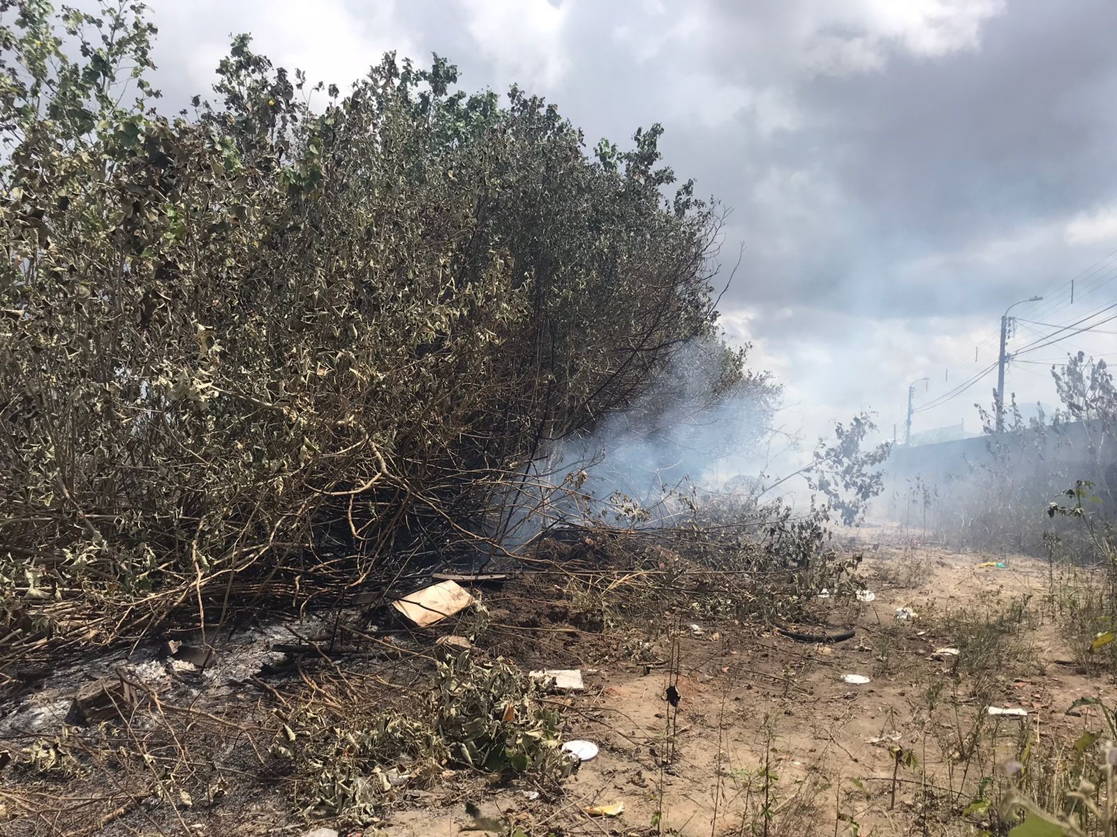 Incêndio atinge vegetação em terreno de fábrica de refrigerantes fechada na Grande Natal 