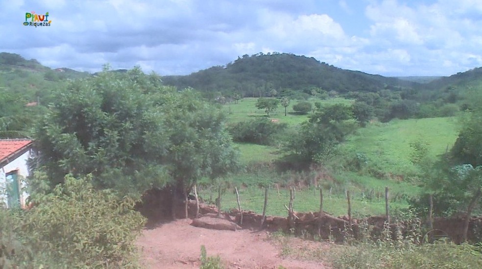 Pesquisadores estudam caverna inexplorada no Piauí; área interna chega a medir 7 m de altura — Foto: Reprodução