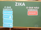 Especialistas falam sobre o vírus da zika e microcefalia no Bem Estar