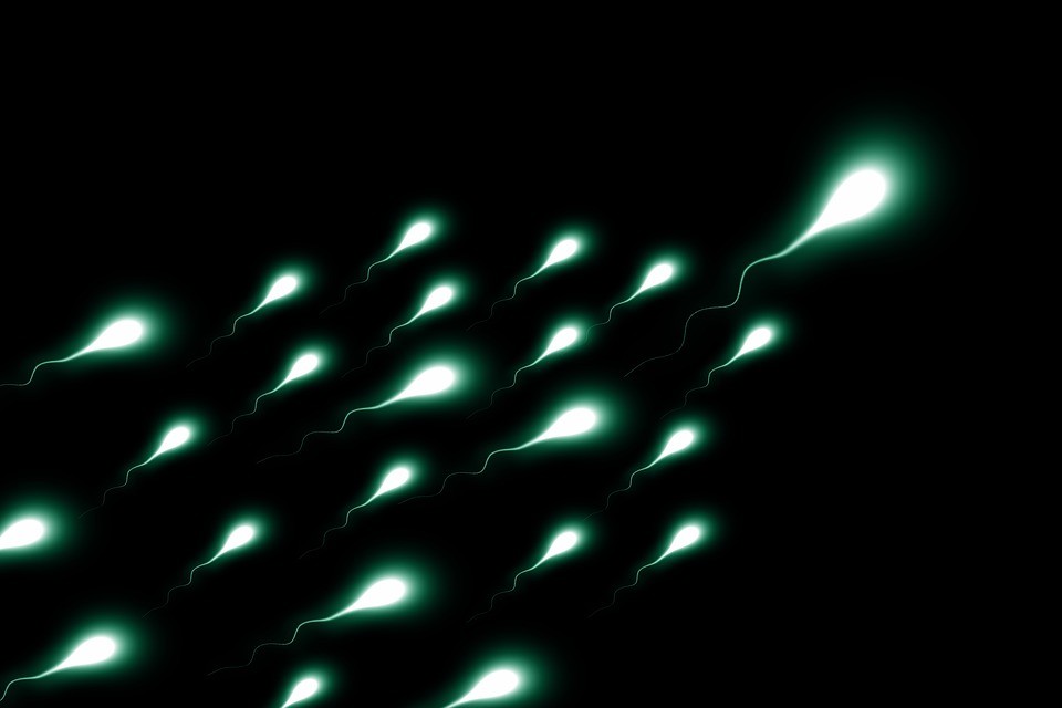Astronautas estão resistentes à doação de esperma (Foto: Pixabay)