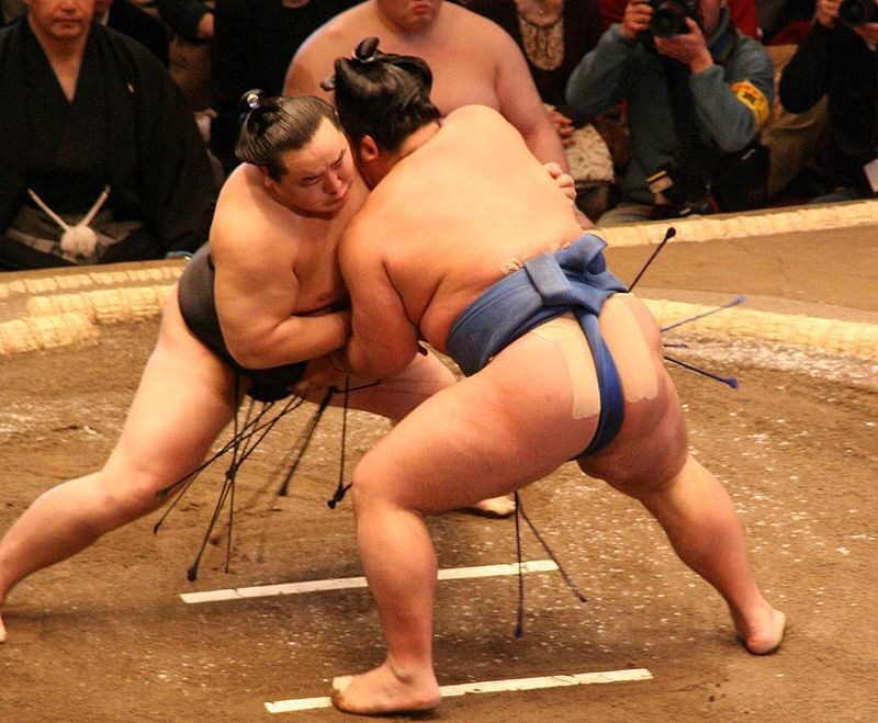 Força gerada pelo impacto do primeiro contato entre lutadores de sumô pode ser maior que uma tonelada (Foto: divulgação)