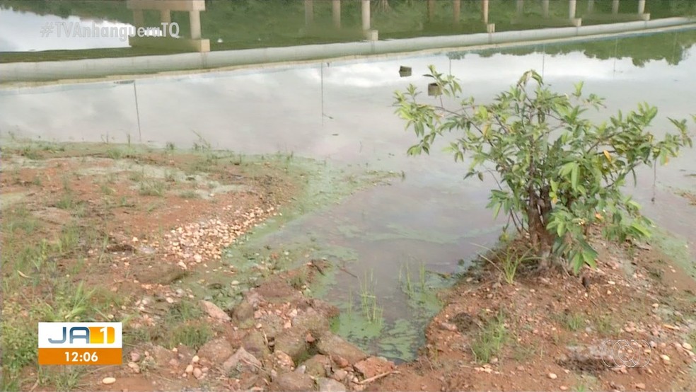 Água do Ribeirão Taquarussu está verde com mau cheiro — Foto: Reprodução/TV Anhanguera