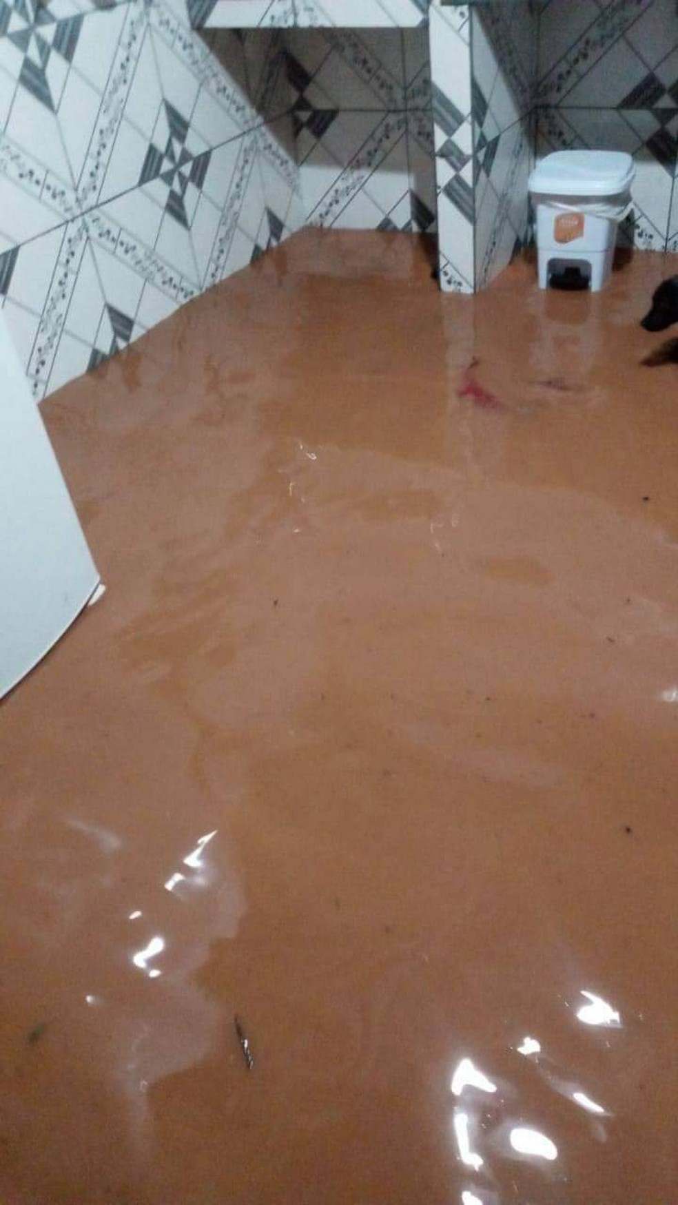 Casas foram alagadas durante a enchente — Foto: Assessoria