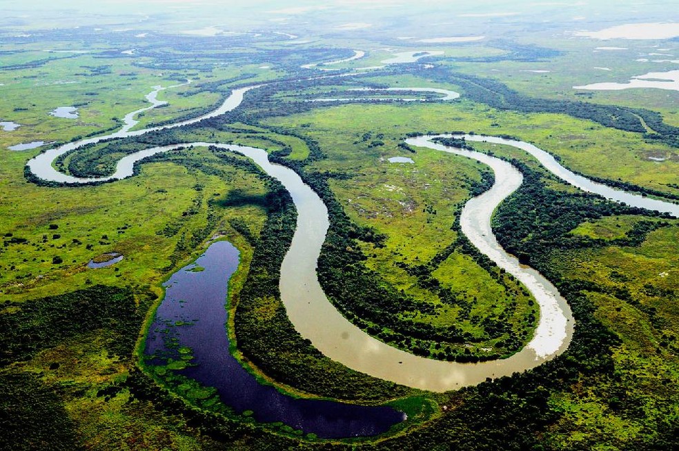 Pesquisadores encontram jacar-ano pela primeira vez em rea alagada de plancie do Pantanal de MT  Foto: Marcos Vergueiro/Secom-MT