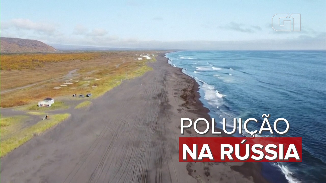 Cadáveres de animais marinhos são encontrados em praias do leste da Rússia