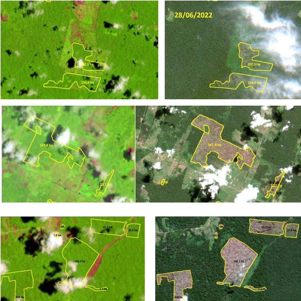 Alerta de desmatamento sobe para mais de 19 mil hectares no Acre, aponta estudo  — Foto: LabGAMA/Ufac