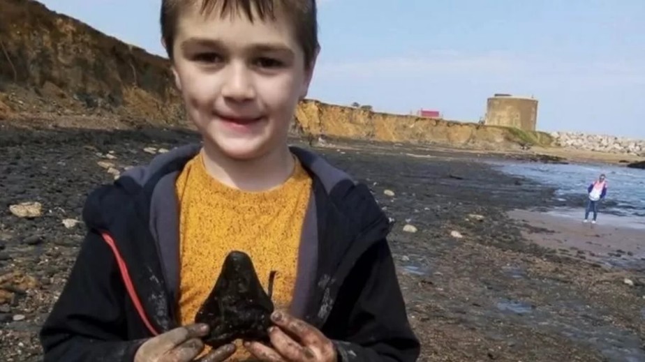 Criança de 6 anos encontra dente de tubarão Megalodon