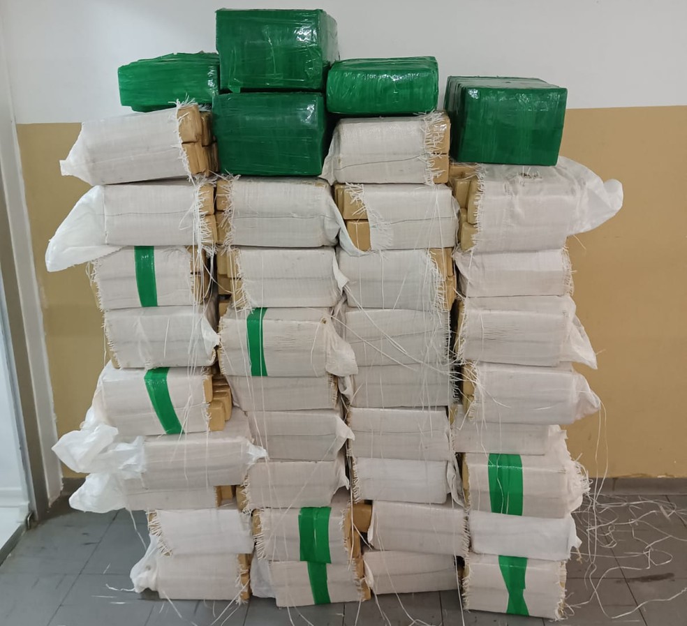 Carga de mais de 1 tonelada de maconha foi apreendida em Pirapozinho (SP) — Foto: Polícia Militar