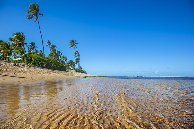 Vista do mar e dos  coqueiros que acompanham  toda a extensão da praia. (Foto: Gonzalo Azumendi/Getty Images)
