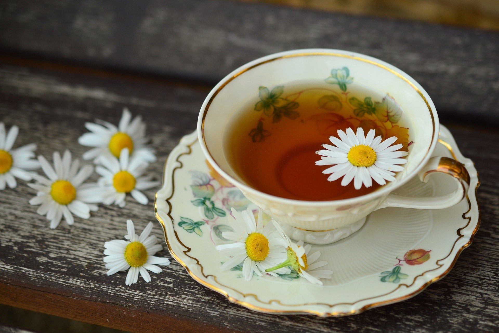 Tomar chá regularmente pode melhorar a organização do cérebro, dizem pesquisadores  (Foto: Pixabay)