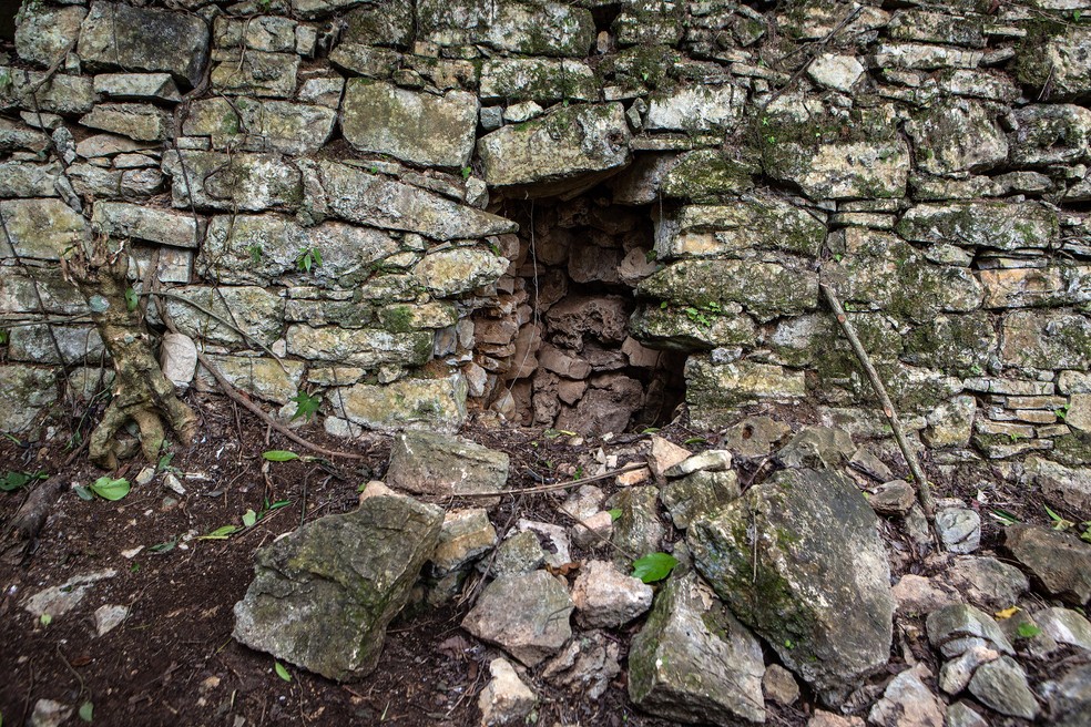 Buraco feito por ladrões no muro da acrópole de um povoado da dinastia Sak Tz'i, no México — Foto: Meghan Dhaliwal/The New York Times