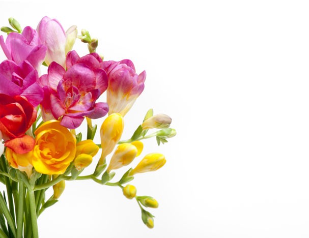 Flores para ter em casa (Foto: Getty Images)