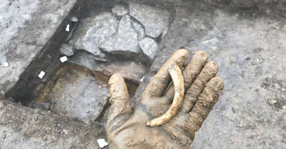 Presa de javali encontrada na área após escavações  (Foto: Keith Westcott)