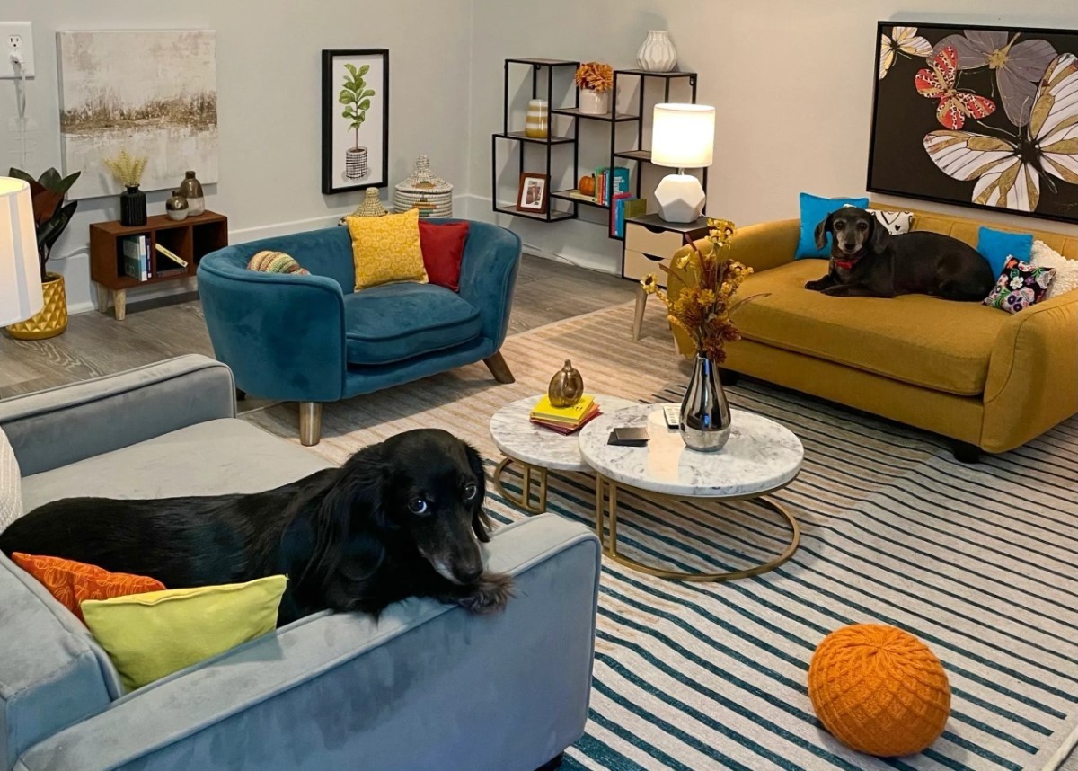 Mini sala de estar adaptada para o cães Peaches, Challah e  Mitzi, desenvolvida por Benjamin Mazer (Foto: Site The Worlds Best Dog Dad/ Divulgação)