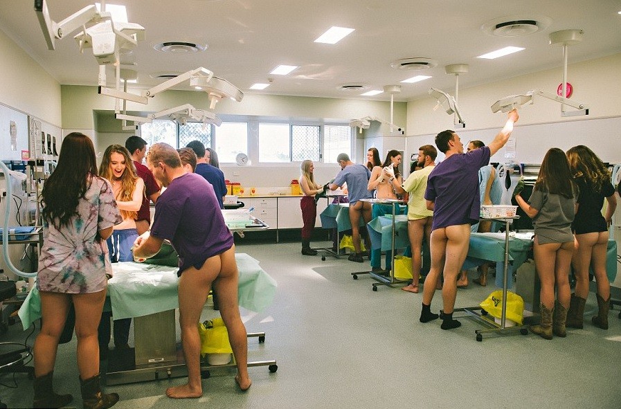 Cena do ensaio em clínica veterinária da universidade
