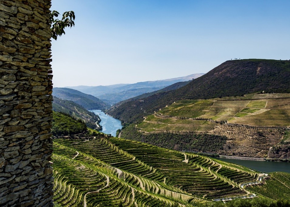 Panorama do Vale do Douro a partir da Quinta Maria Izabel