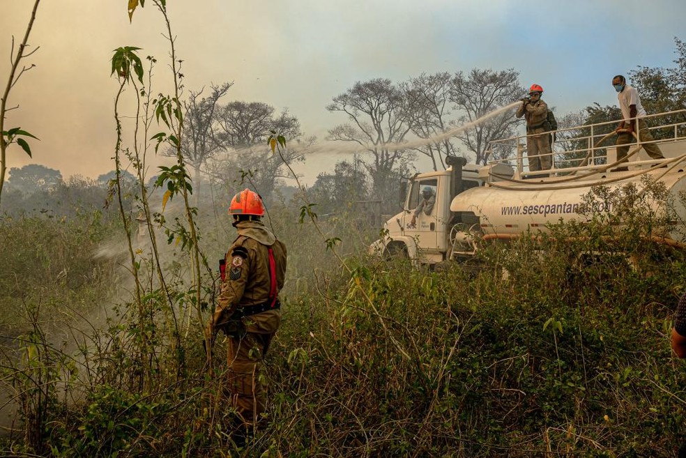 Cinco frentes combatem incêndios no Pantanal com apoio de seis aeronaves — Foto: Mayke Toscano/Secom-MT