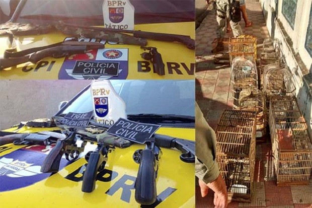 Foram apreendidas com os suspeitoas aves silvestres e armas (Foto: Divulgação/PC-AL)