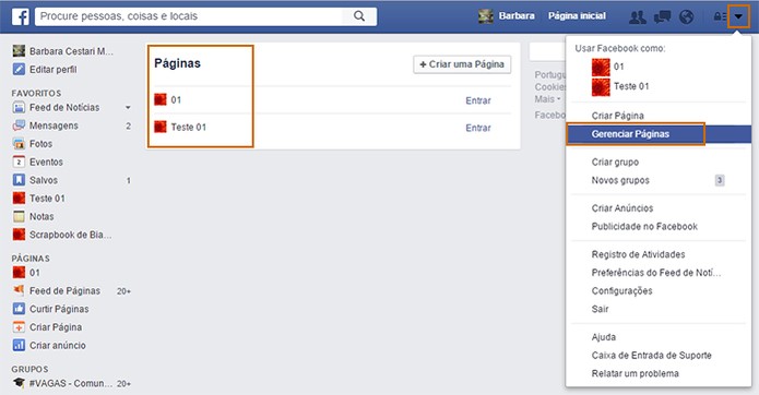 Acesse o gerenciamento do Facebook e clique na página que deseja alterar as configurações (Foto: Reprodução/Barbara Mannara)