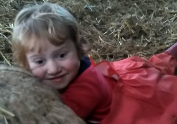 Lily, de três anos, ajuda no parto de um cordeiro e vídeo viraliza na web (Foto: Reprodução)