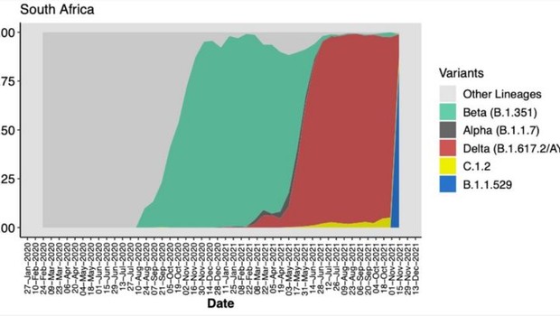 Um gráfico divulgado pelas autoridades da África do Sul mostra as variantes de coronavírus mais dominantes no país ao longo da pandemia. Após 'domínio da delta' (mancha vermelha), omicron (mancha azul) está rapidamente ganhando terreno (Foto: Divulgação via BBC NEWS BRASIL)