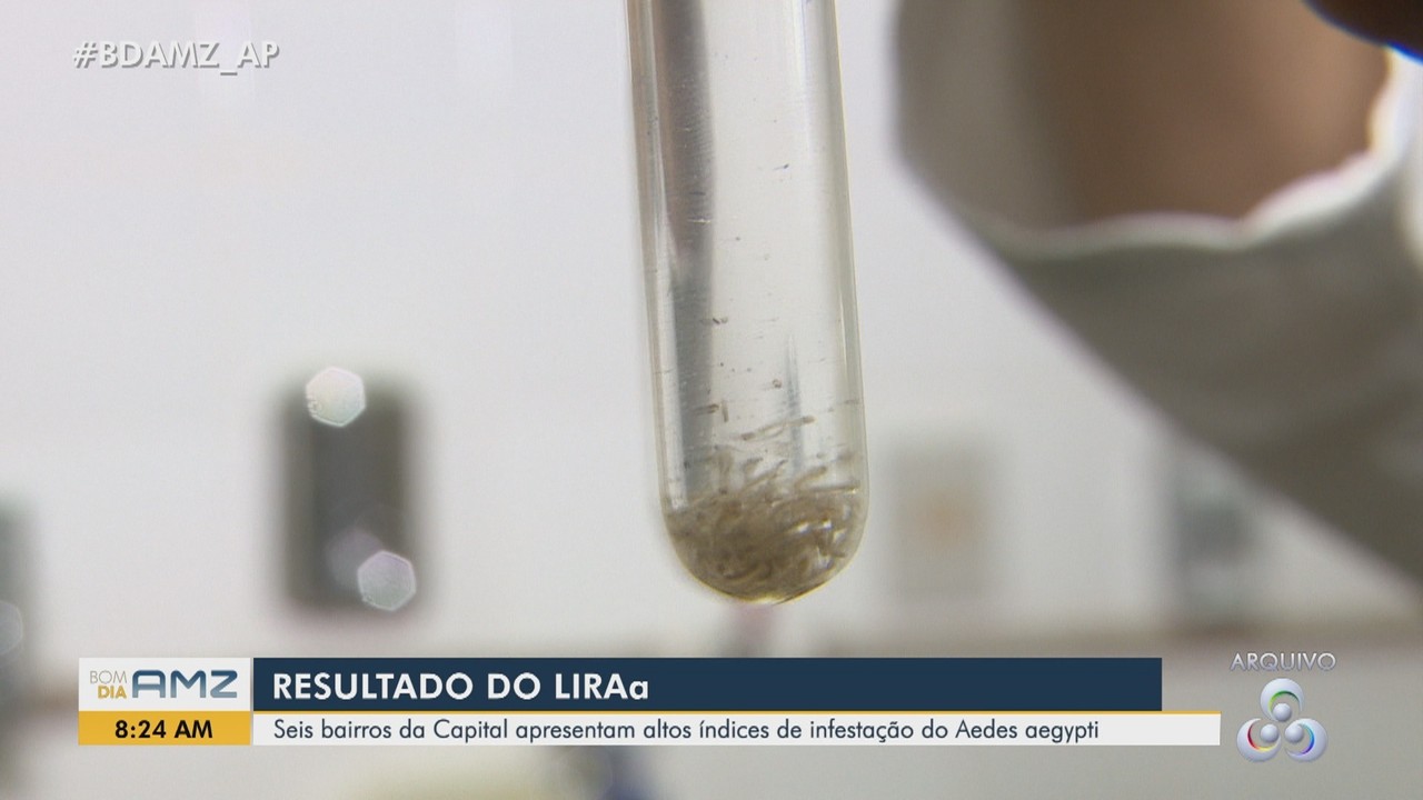 1º LIRAa: Seis bairros de Macapá apresentam alto índice de infestação do Aedes aegypti