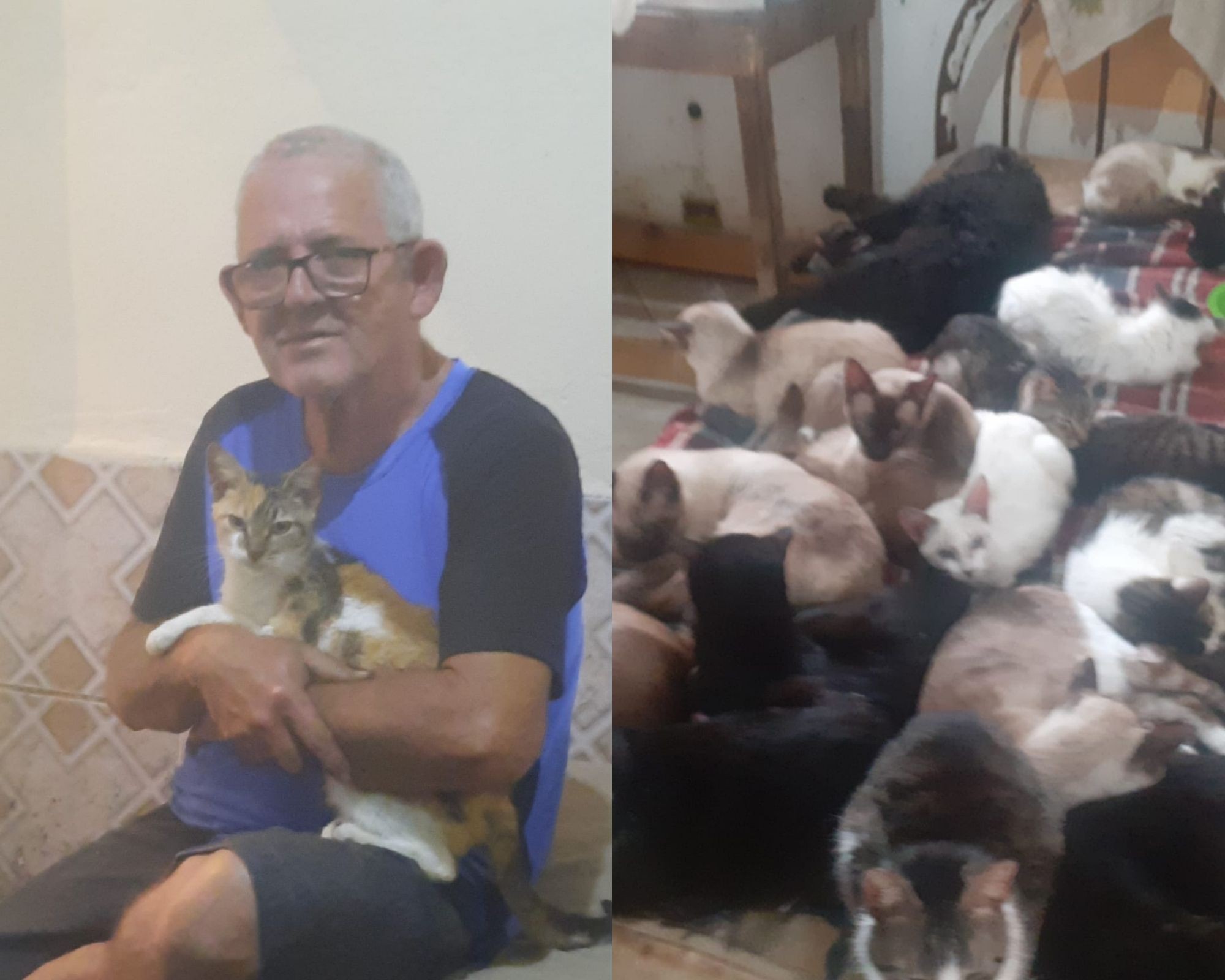Por amor, padeiro concilia 5 empregos para sustentar 70 animais resgatados em SP: 'Tudo tirado da rua'