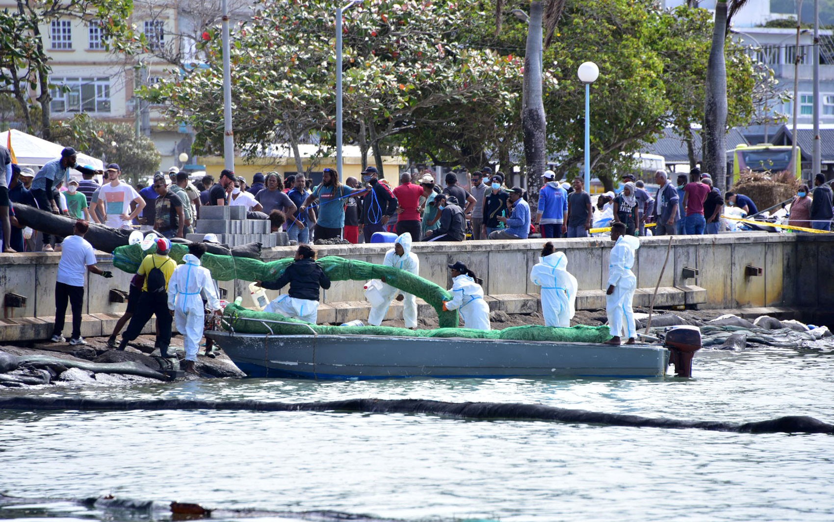 Vazamento de petróleo: por que os habitantes das Ilhas Maurício estão recolhendo cabelo thumbnail