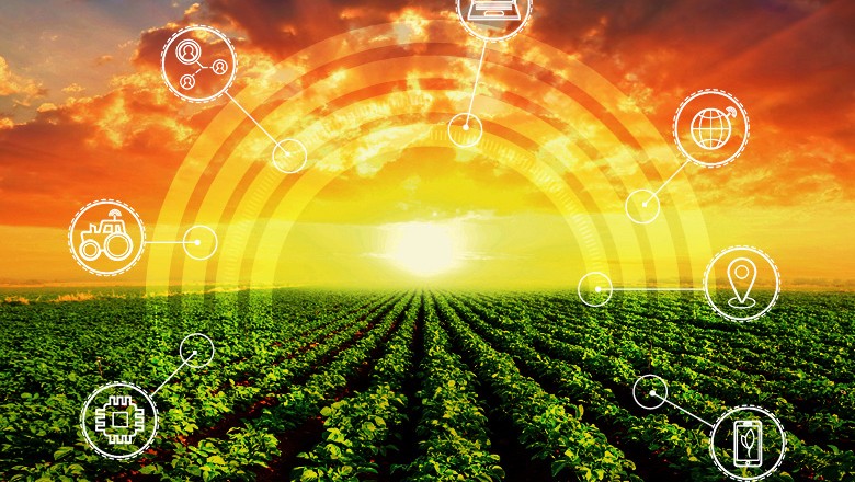inovação-agro-tecnologia- (Foto: Thinkstock)
