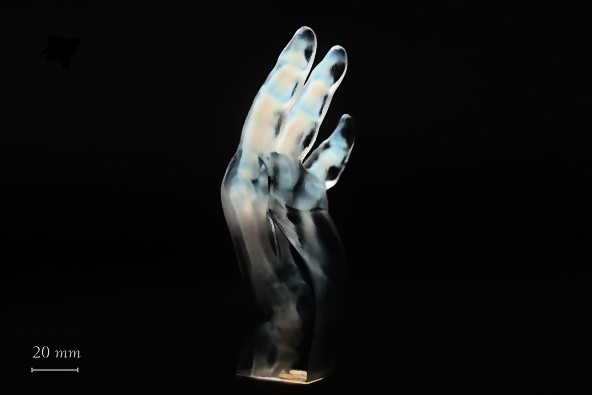 Voxel, Impressão 3D. Representative 3D-printed models from volumetric data sets. A CT scan of the left hand of a patient with arthritis. The radiodensity information stored in the CT volume is mapped to a material gradient of opaque white and transparent  (Foto: The Mediated Matter Group/MIT)