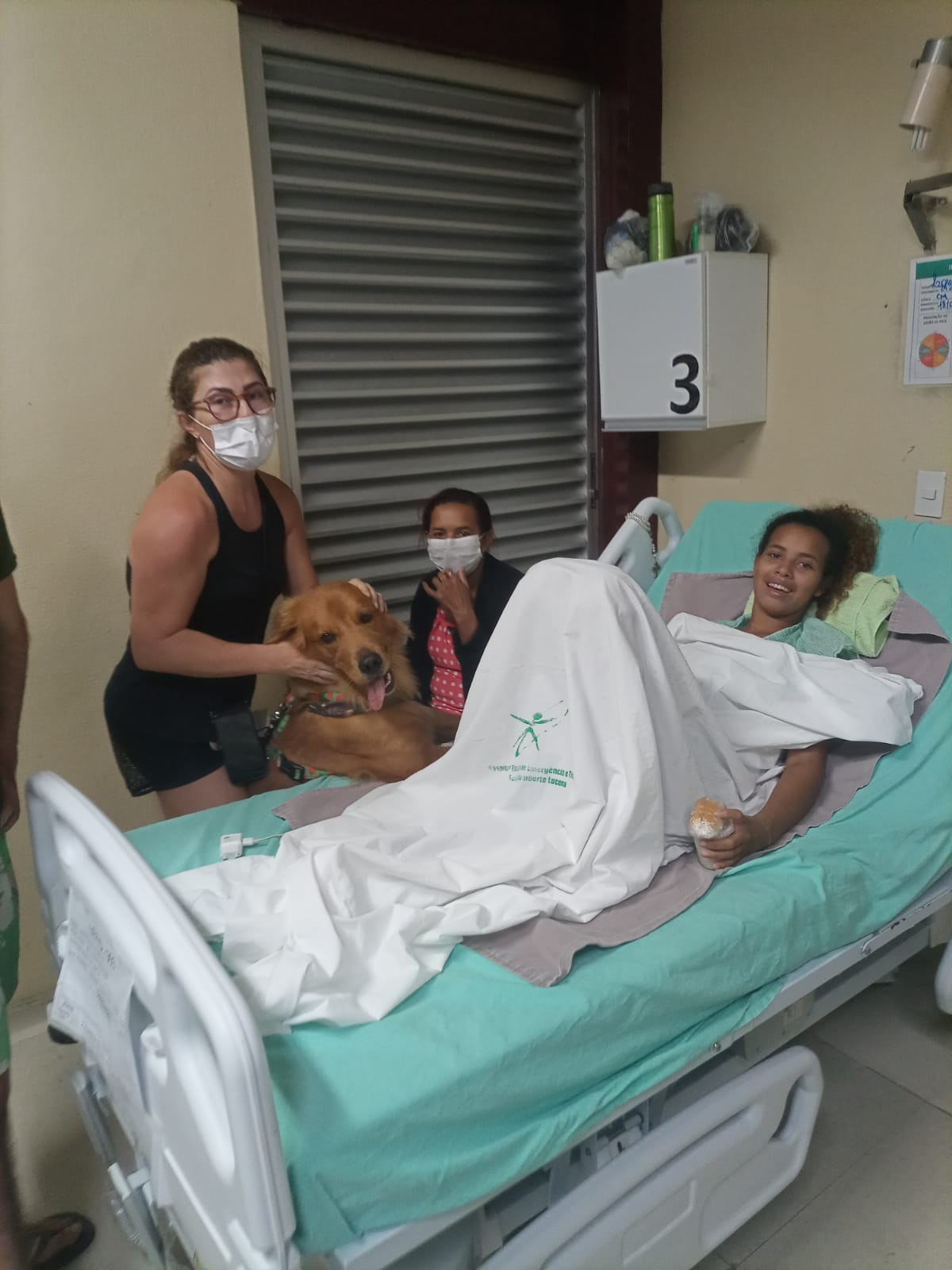Hospital de João Pessoa retoma terapia com cães para ajudar na recuperação de pacientes
