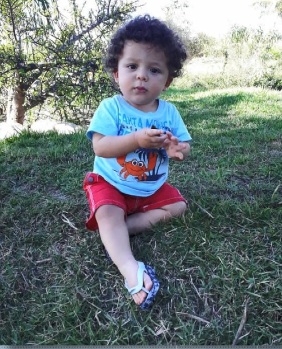 Bebe De 1 Ano Morre Apos Ser Picado Por Escorpiao No Es Espirito Santo G1