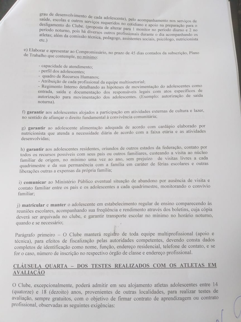 TAC Flamengo Ninho &mdash; Foto: Reprodu&ccedil;&atilde;o