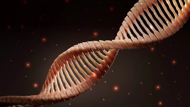 Os testes que avaliam o genoma devem ser feitos em situações bem específicas — e sempre acompanhados do aconselhamento de um profissional da área (Foto: Getty Images via BBC)