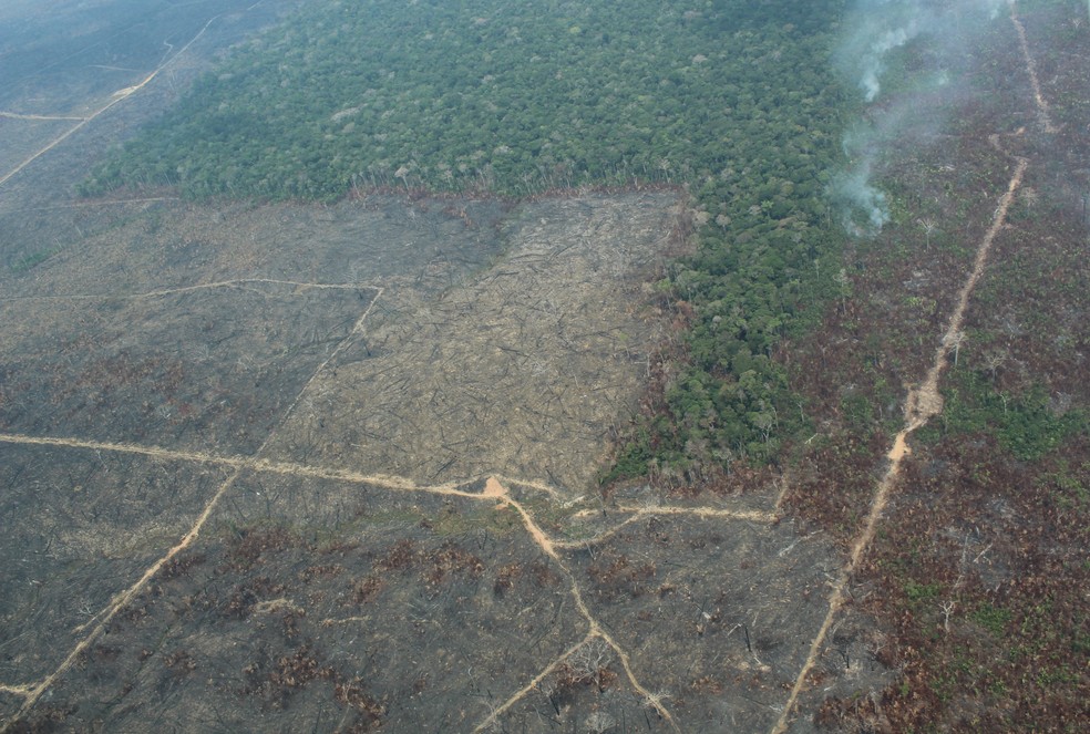 O desmatamento na Amazônia causado por ação humana é um dos grave problemas ambientais do planeta — Foto: Jonatas Boni/G1