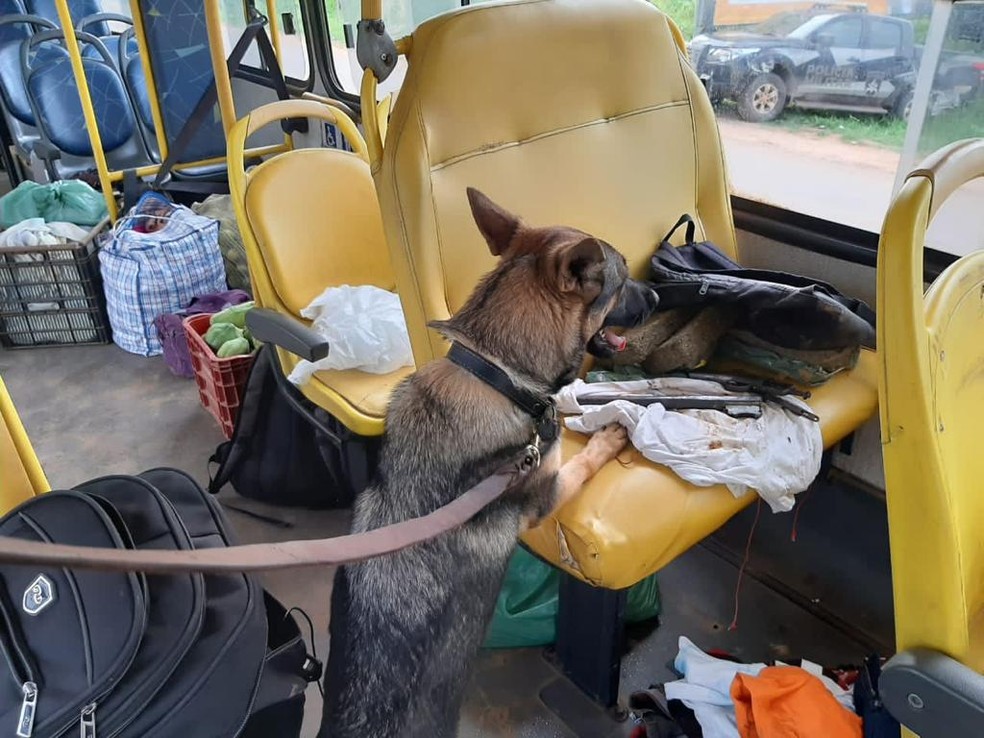 Dois homens são presos com mais de três quilos de droga durante abordagem a ônibus em Rio Branco — Foto: Arquivo/PM-AC