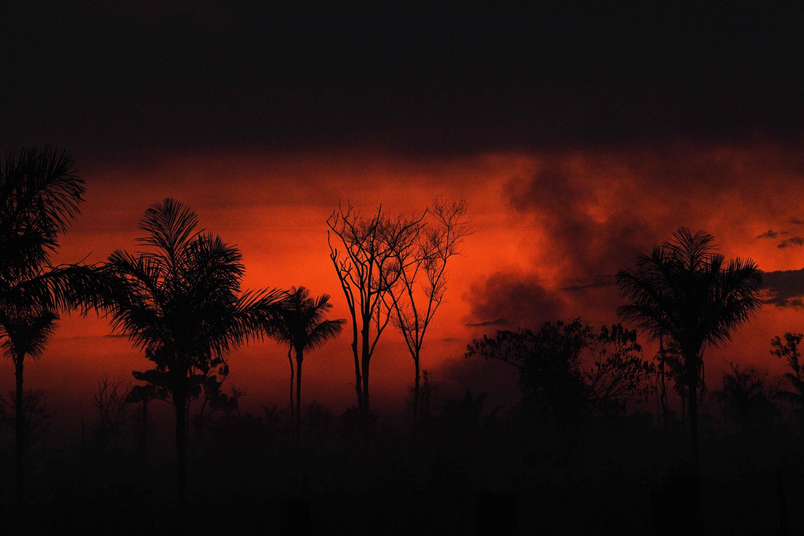 Fumaça sobe de um incêndio ilegal na reserva da floresta amazônica, ao norte de Sinop, no Mato GrossoAFP