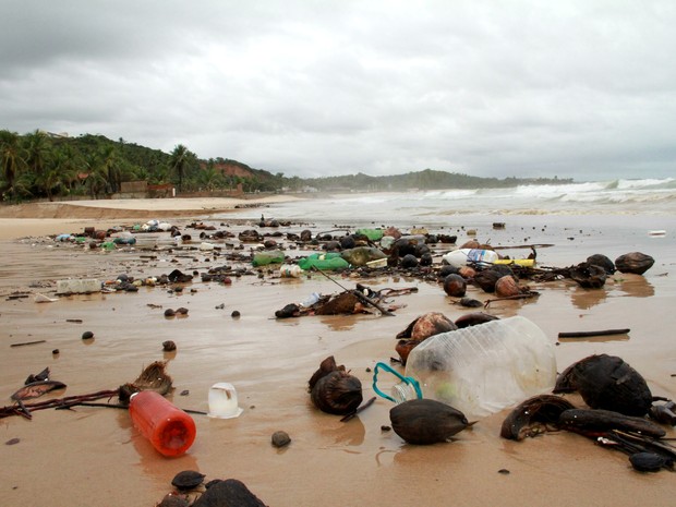 Em período de chuva volume de plástico aumenta nas praias do litoral alagoano (Foto: Waldson Costa / G1)