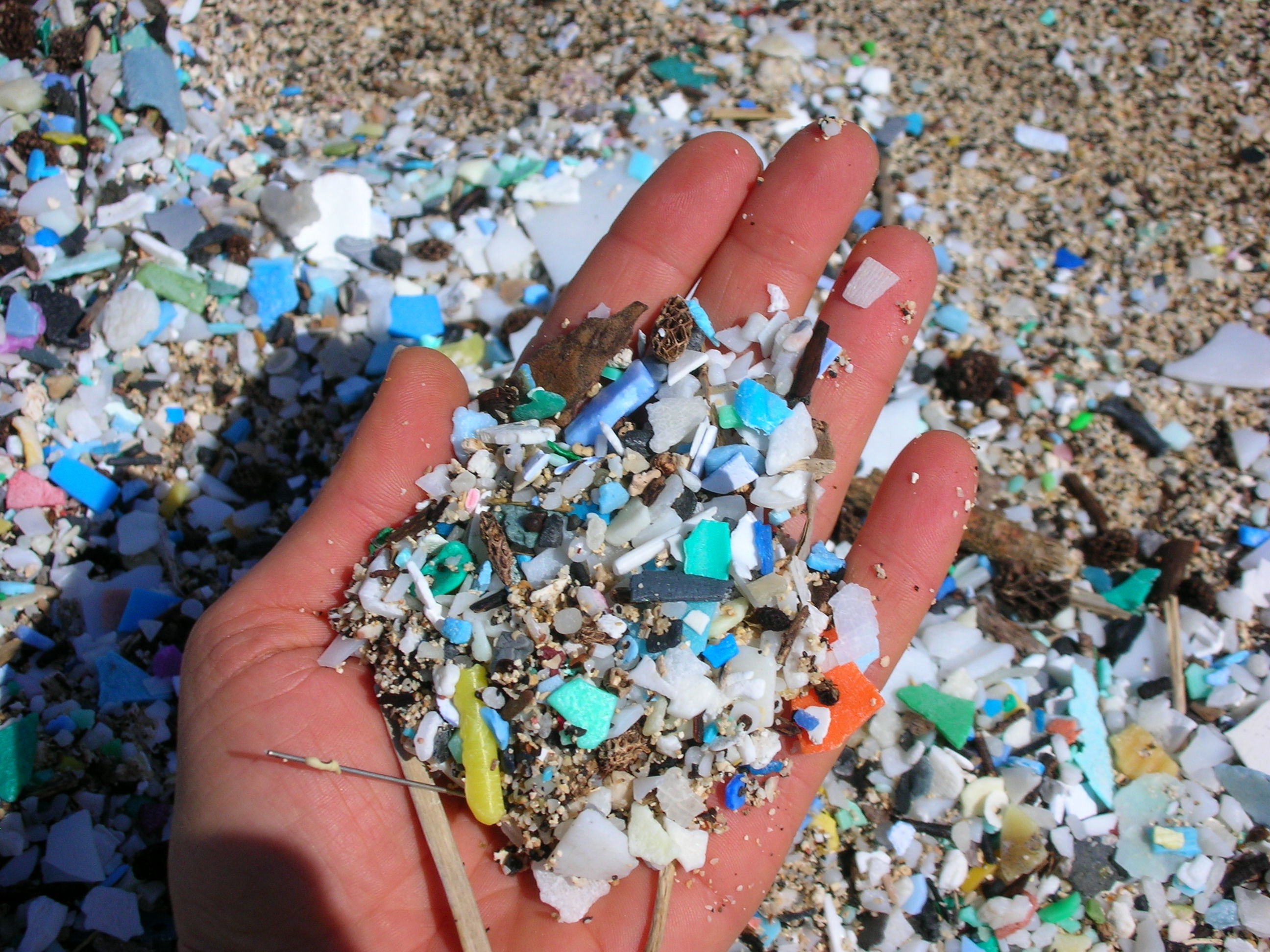 Pequenos fragmentos de plástico encontrados no meio da areia em praia do Havaí (Foto: Divulgação/Hoola One)